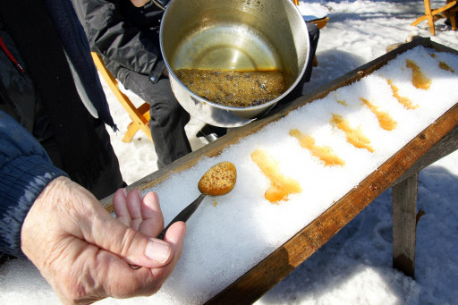 Sortie à la cabane à sucre (programme de jumelage)