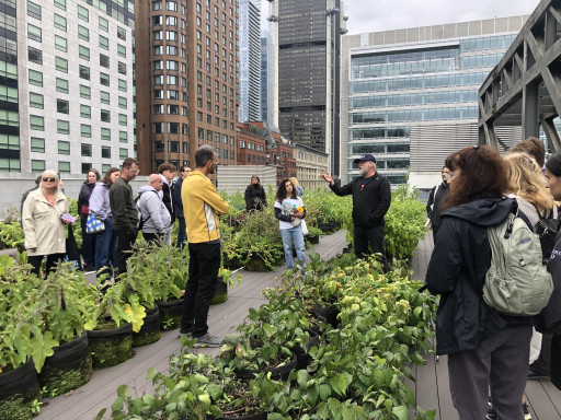 15e École d'été sur l'agriculture urbaine: «Le droit à l'alimentation»