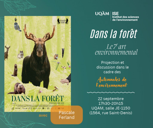 Dans la forêt | Le 7e art environnemental