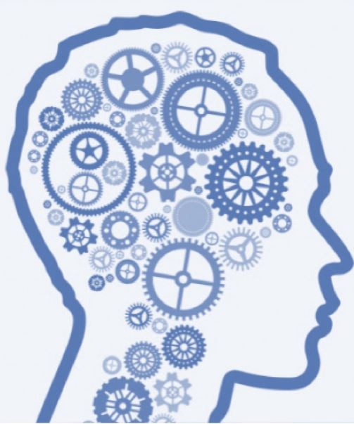 Large-scale brain network supporting science learning and anxiety in undergraduate physic students