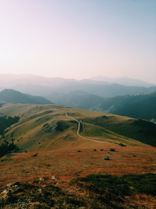 Réduction du stress basée sur la présence attentive (Mindfulness)
