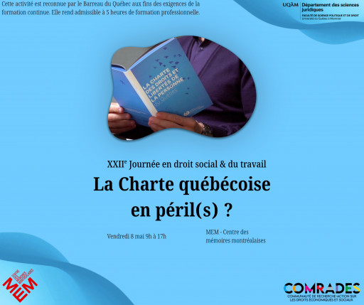 XXIIe Journée en droit social et du travail