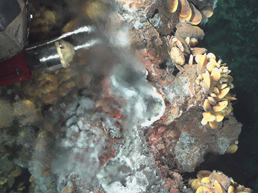Écosystèmes marins et exploitation minière