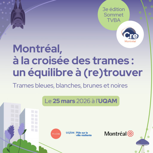 Sommet: «Montréal, à la croisée des trames: un équilibre à (re)trouver»